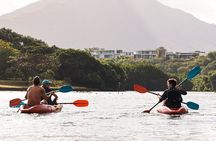 Afternoon Guided Kayak Tour on the Tamarin River