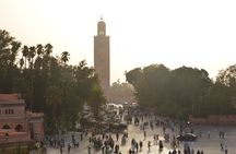 10 Days in Morocco : Southern Morocco Nature, Morocco Coast 