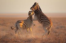 Horseback Safari and Wine Tasting Private Guided Tour