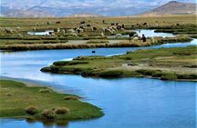 Full Day Tour to the Colca Canyon