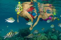 Nassau Shore Excursion: Bahamas Snorkel Adventure