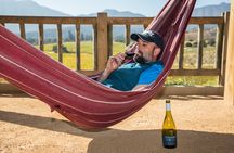 Villard Winery with exclusive guide + Premium Transfer