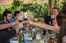 Villard Winery with exclusive guide + Premium Transfer