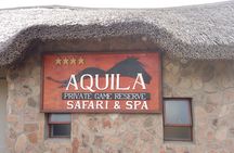 Cape Town - Aquila Safari tour