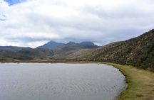Private Tour from Quito to Cotopaxi Volcano + Rose Plantation