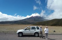 Private Tour from Quito to Cotopaxi Volcano + Rose Plantation