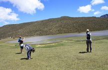 Private Tour from Quito to Cotopaxi Volcano + Rose Plantation