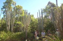 Punta Cana: Eco Jungle Tour