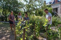 Champagne Tasting Class and Lunch near Epernay