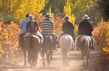 Horseback Riding in Mendoza through the vineyards and river with optional Asado.