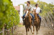 Horseback Riding in Mendoza through the vineyards and river with optional Asado.