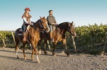 Horseback Riding in Mendoza through the vineyards and river with optional Asado.
