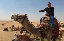 Day Tour Giza Pyramids ,Great Sphinx & Camel Ride Safari11USD