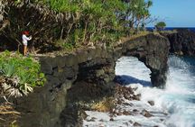 National Park Lava Cliffs and Black Sand Beach