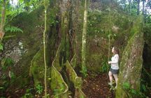 National Park Lava Cliffs and Black Sand Beach