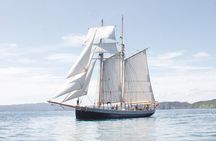 Bay of Islands Tall Ship Sailing on R. Tucker Thompson Including BBQ Lunch