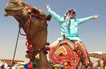 Full day Giza Pyramids with camel safari