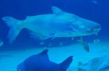 Angkor Wildlife & Aquarium Halfday tour