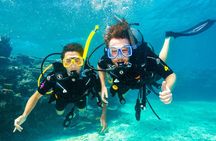 Premium Guided Dive Trip - Outer Great Barrier Reef