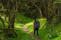 6-Day Mount Meru Climb through Momella Route Guided Tour