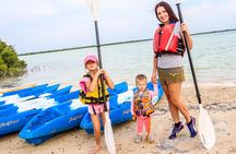 Qatar Kayaking Adventure-Mangrove at Purple Island W/Pick & drop