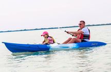 Qatar Kayaking Adventure-Mangrove at Purple Island W/Pick & drop