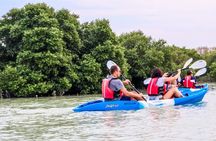 Qatar Kayaking Adventure-Mangrove at Purple Island W/Pick & drop