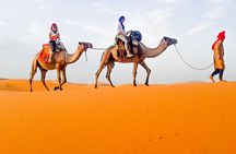 Merzouga Camel Ride & Overnight Desert Camps