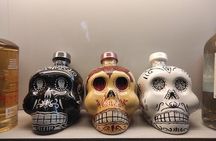 Guided Tour to the Tequila and Mezcal Museum