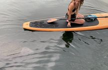 Orlando Manatee and Olde Florida History Adventure Tour