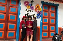 2 Days Experience: Cocora, Salento, Filandia, Coffee & Hotsprings