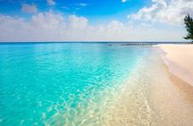 Jeep Ride at Cozumel! Snorkel + Round Transportation from Playa Del Carmen