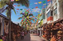 Jeep Ride at Cozumel! Snorkel + Round Transportation from Playa Del Carmen
