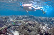 Phi Phi Islands Adventure Day Trip w/ Seaview Lunch by V. Marine