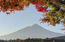 Private Car Tour to Mt. Fuji Lake Kawaguchiko or Hakone