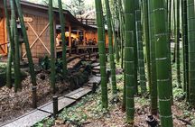 Full Day Kamakura Tour, From/To Tokyo, Yokohama, 2- 12 guests
