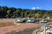 Go Fundy Tours