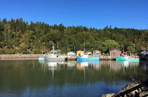 Go Fundy Tours