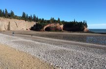 Go Fundy Tours