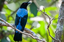 Bondla Wildlife Sanctuary with Lunch in Spice Plantation in Goa