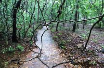 Bondla Wildlife Sanctuary with Lunch in Spice Plantation in Goa