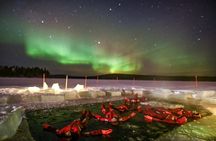 Ice Floating in Forest Lake with Aurora Borealis