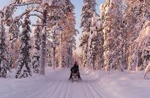 Full Day Snowmobile Safari