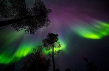 Aurora Hunting by Reindeer Sleigh