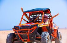 Hurghada Adrenaline Safari ATV, Buggy, Camel, Dinner & Show
