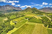 Hot Air Balloon and Wine Tasting Private Guided Tour