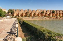 Full-Day Tour from Fez to Vollubulis, Moulay Idriss Zerhoun, Mèknes
