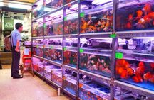 Kowloon Tour + Fun Tasting (2024) | 100+ booked