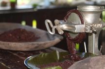 Tour Shaman medicinal plants and waterfalls 