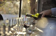 Wine Tour to Colonia Caroya, Cordoba - Half Day